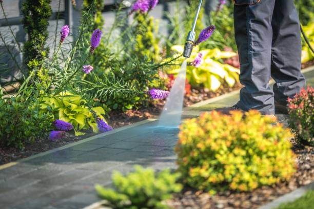Best Roof Washing  in Crandon Lakes, NJ